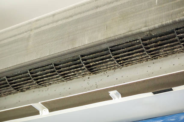 Best HVAC Duct Inspection Services  in Thomasville, GA